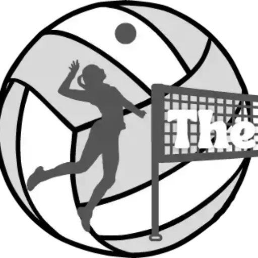 best volleyball shoes logo