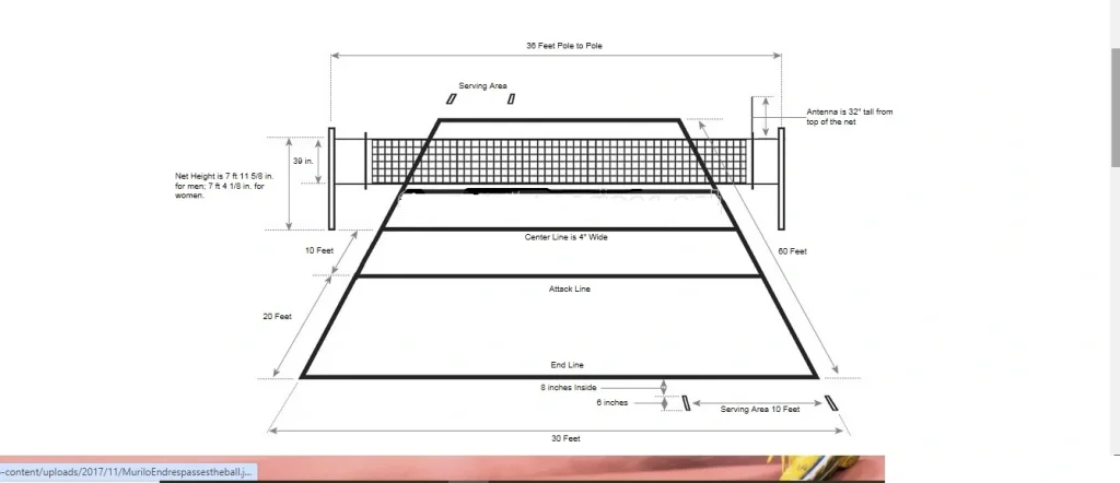 How Tall is a Volleyball Net